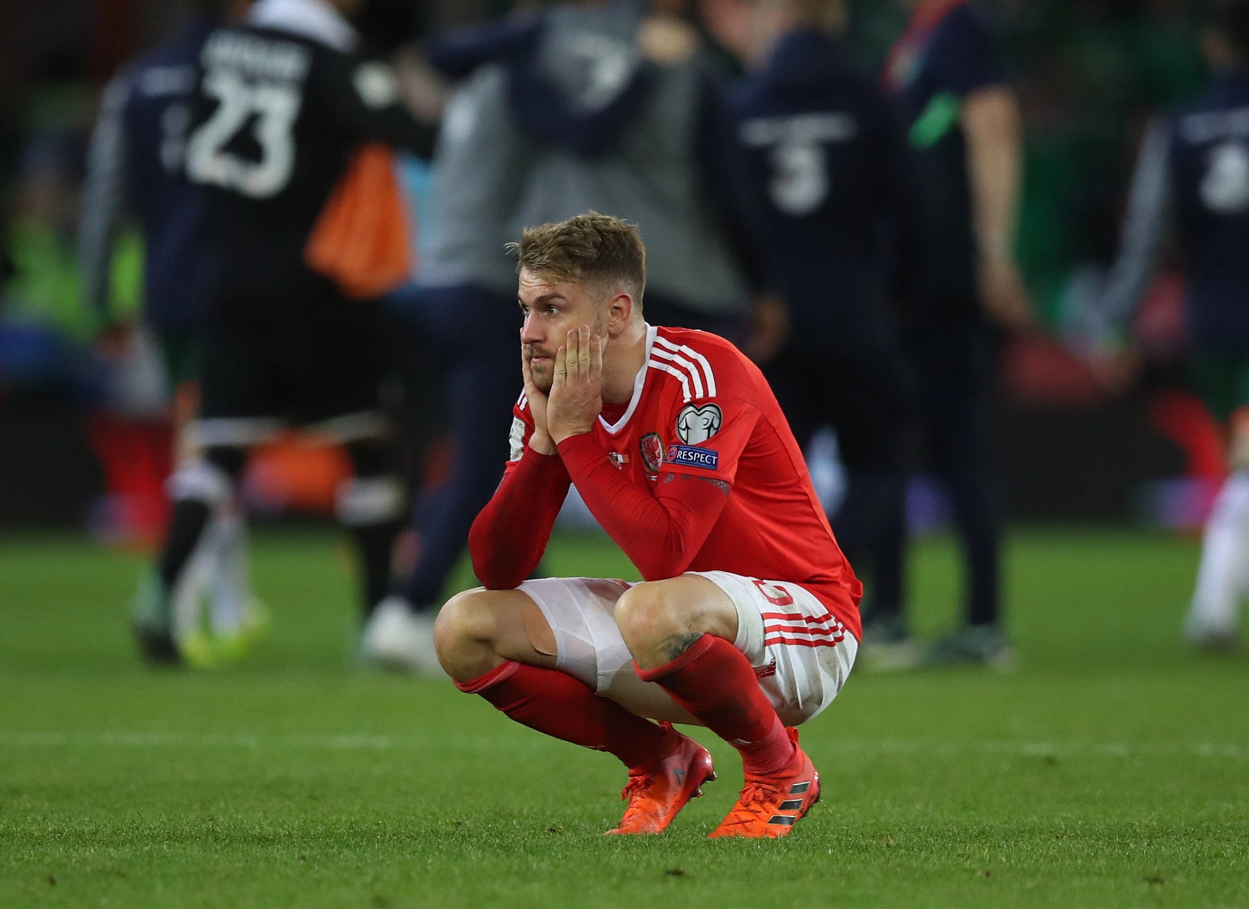 Wales reached the semi-finals of Euro 2016 only to miss out on qualification for the 2018 World Cup