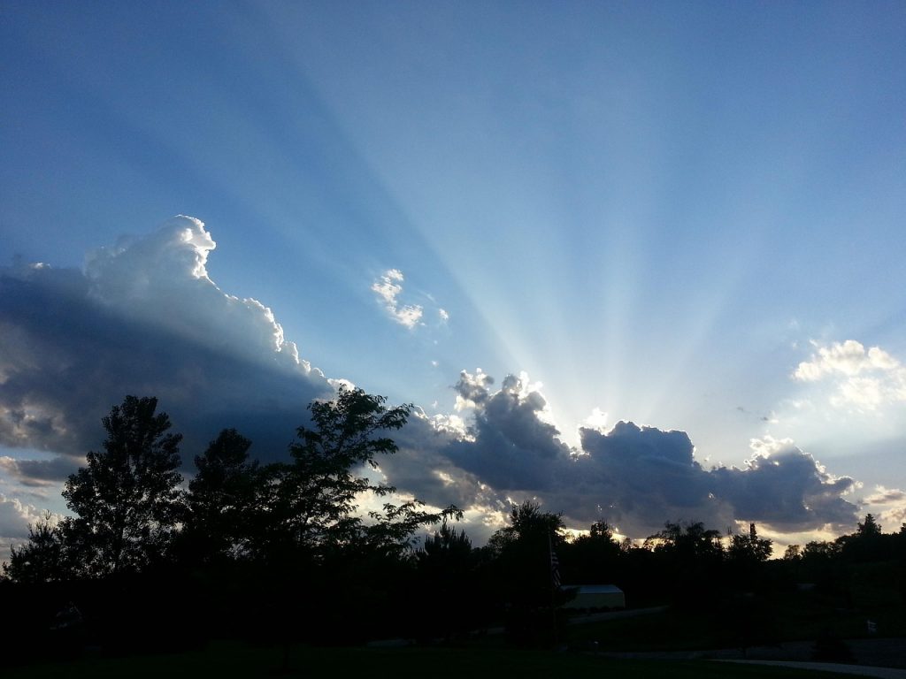 Marcus Lee Interview